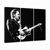 Dipinto a mano POP Art Bruce Springsteen 3 pezzi bs – Visualizzazione 3D del quadro dipinto a mano su sfondo bianco. Colori dominanti: nero, bianco, grigio.