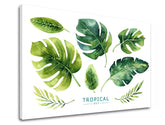 Set di arte murale con testo Tropical - immagine 3