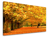 Pittura murale TREES