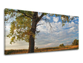 Pittura murale PANORAMA TREES