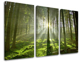 Pittura murale in 3 parti TREES