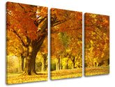 Pittura murale in 3 parti TREES