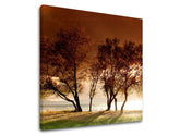 Pittura murale TREES