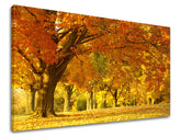Pittura murale TREES