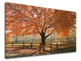 Pittura murale TREES