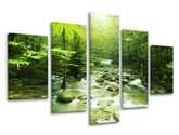 Pittura murale in 5 parti TREES
