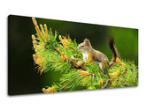 Pittura murale PANORAMA ANIMALI