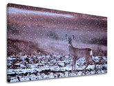 Pittura murale ANIMALI