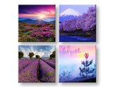 Pittura murale Everywhere viola 4 parti