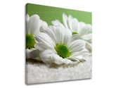 Pittura murale FIORI - immagine 2