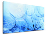 Pittura murale FIORI PÚPAVA