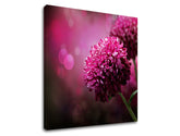 Pittura murale FIORI ROSA_149-11 - immagine 5