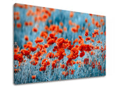 Pittura murale FIORI ROSSI_159-11 - immagine 5