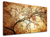 Pittura murale FIORI