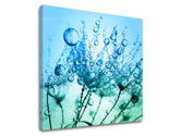 Pittura murale FIORI