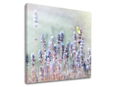 Pittura murale FIORI