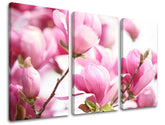 Pittura murale in 3 parti FIORI