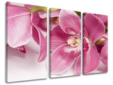 Pittura murale in 3 parti FIORI