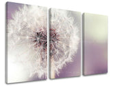 Pittura murale in 3 parti FIORI