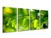 Pittura murale in 4 parti RASTLINY