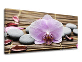 Pittura murale PANORAMA FENG SHUI