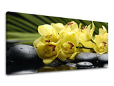 Pittura murale PANORAMA FENG SHUI