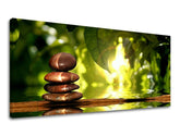 Pittura murale PANORAMA FENG SHUI