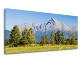 Pittura murale PANORAMA SLOVACCHIA