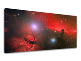 Pittura murale PANORAMA UNIVERSE
