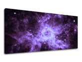 Pittura murale PANORAMA UNIVERSE
