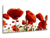 Pittura murale panoramica FIORI - immagine 2