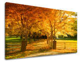 Pittura murale TREES