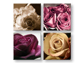 Regno delle rose Arte da parete in 4 parti