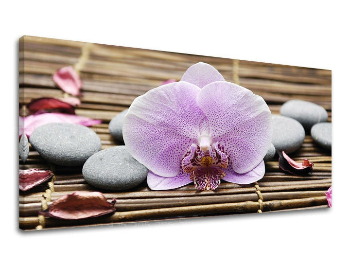 Pittura murale PANORAMA FENG SHUI FS010E13