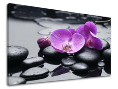 Pittura murale FENG SHUI Sconto 60 % 20x30 cm