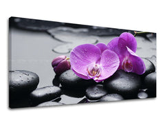 Pittura murale PANORAMA FENG SHUI 60x120 cm