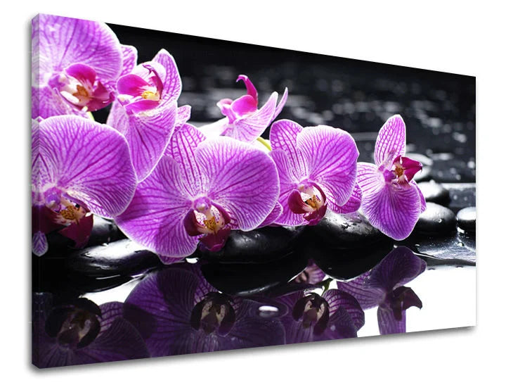 Pittura murale FENG SHUI Sconto 60% 20X30 cm