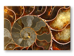Pittura murale INSPIRATION 60x90 cm