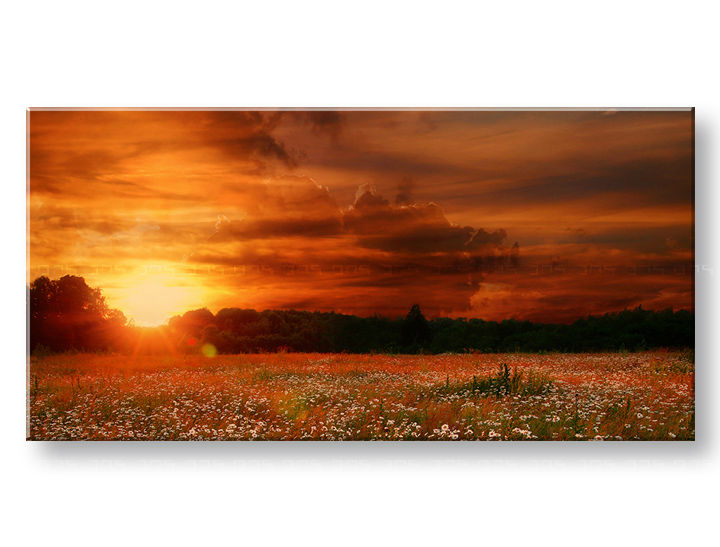 PANORAMA Paesaggio murale Sconto 60% 50X100 cm