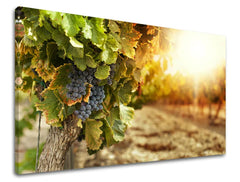 Pittura murale CUCINA Sconto 60% 20X30 cm