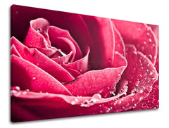 Pittura murale FIORI 40x60 cm