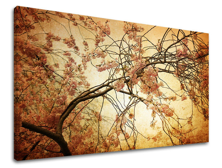 Pittura murale FIORI 60x90 cm