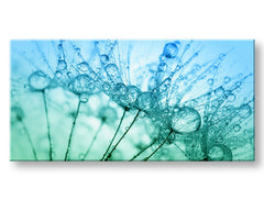 Pittura murale PANORAMA FLOWERS Sconto 60% 50X100 cm