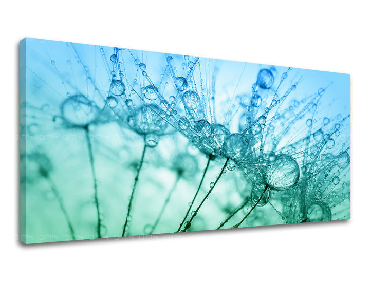 Pittura murale PANORAMA FLOWERS Sconto 60% 50X100 cm