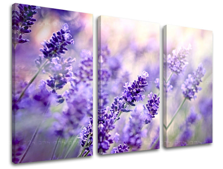 Pittura murale FIORI Sconto 60 % 90X60 cm