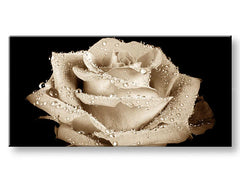 Pittura murale panoramica FIORI Sconto 40% 30X60 cm