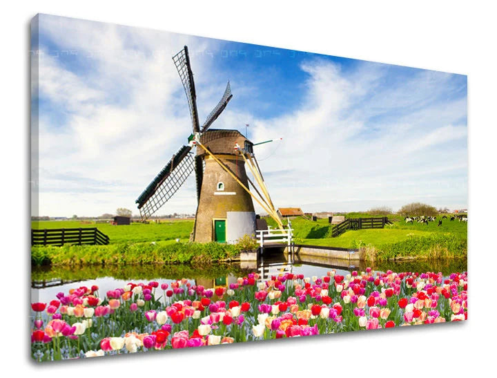 Pittura murale CITY Sconto 60 % 30X40 cm