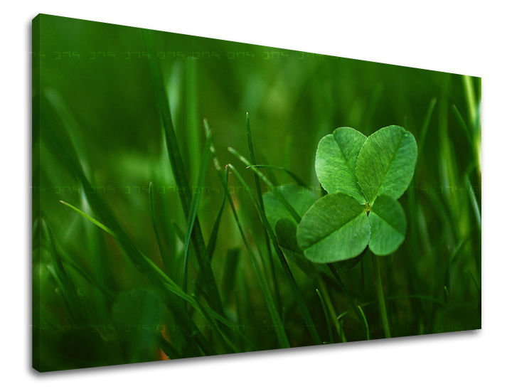 Pittura murale PIANTE Sconto 60% 30X40 cm