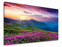 Pittura murale SLOVACCHIA Sconto 60 % 80X120 cm