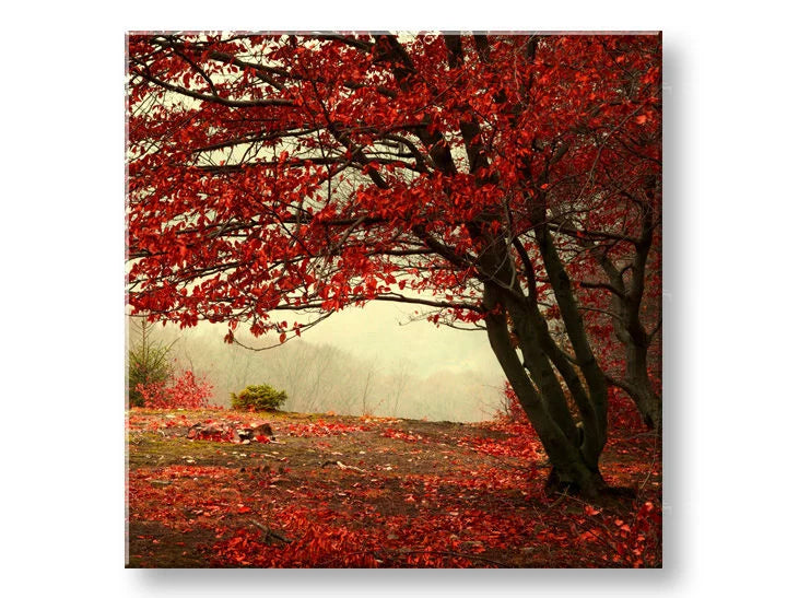 Pittura murale TREES Sconto 60 % 50X50 cm